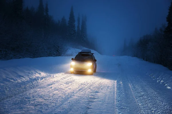 Car lights in winter forest — Stock Photo, Image