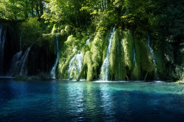 Ormandaki şelale, Plitvice Gölleri, Hırvatistan