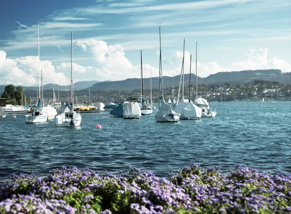 Curyšské jezero s jachty, Švýcarsko — Stock fotografie