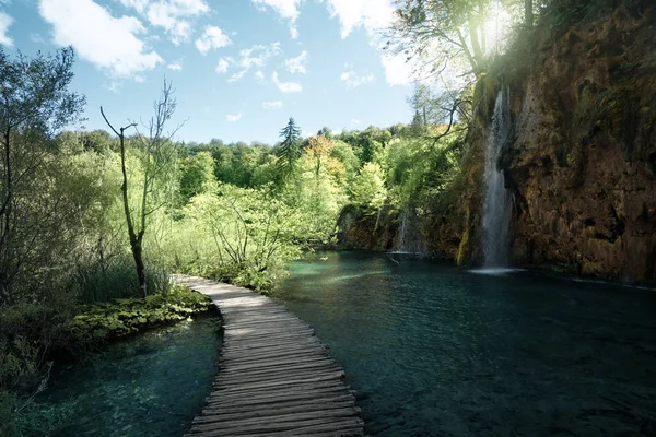 Vízesés az erdőben, Plitvice, Horvátország — Stock Fotó