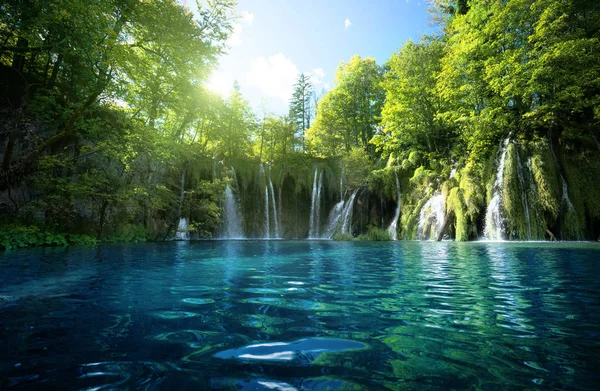 Vattenfall i skog, Plitvicesjöarna, Kroatien — Stockfoto