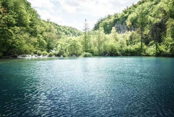 Lake in bos van Kroatië — Stockfoto