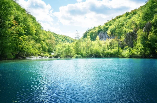 Jezero v lese v Chorvatsku — Stock fotografie