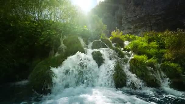 Vattenfall i skog, Plitvice, Kroatien — Stockvideo