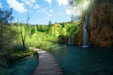 Ormanda Şelale, Plitvice, Hırvatistan