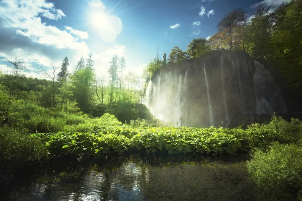 Водоспад у лісі, озеро Плівіце, Хорватія. — стокове фото