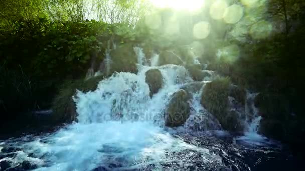 Vattenfall i skog, Plitvice, Kroatien — Stockvideo