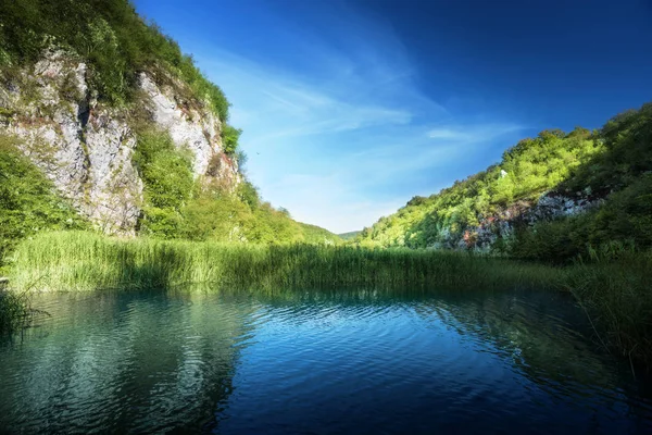 Jezero v lese v Chorvatsku — Stock fotografie