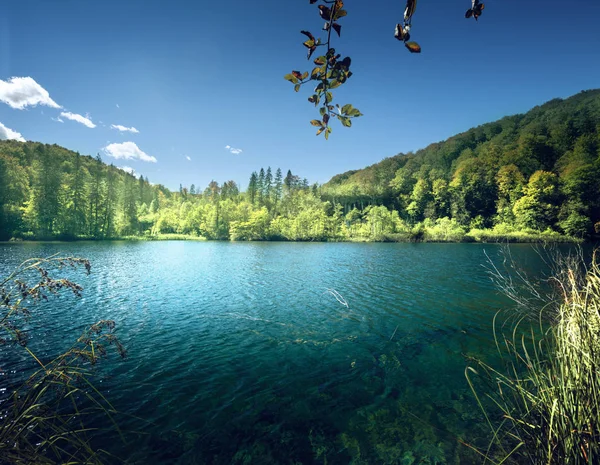 Lago na floresta da Croácia — Fotografia de Stock