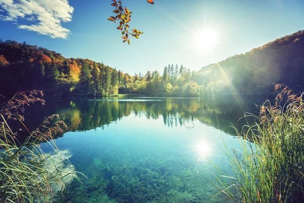 Jezero v lese v Chorvatsku — Stock fotografie