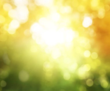 Sonbahar orman, bokeh