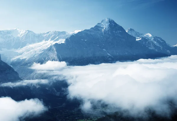 Vallée de Grindelwald depuis le sommet de la Première montagne, Suisse — Photo