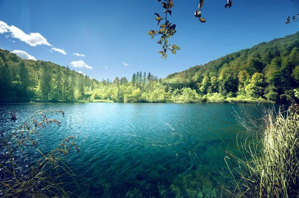 Jezero v lese v Chorvatsku — Stock fotografie