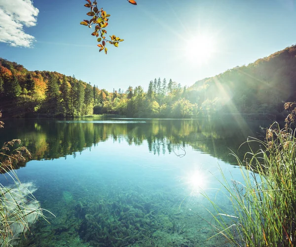 Lago na floresta da Croácia — Fotografia de Stock