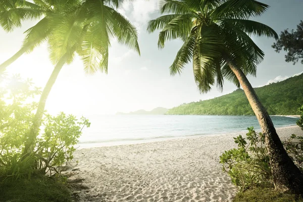 Puesta de sol en la playa Takamaka, Isla Mahe, Seychelles — Foto de Stock