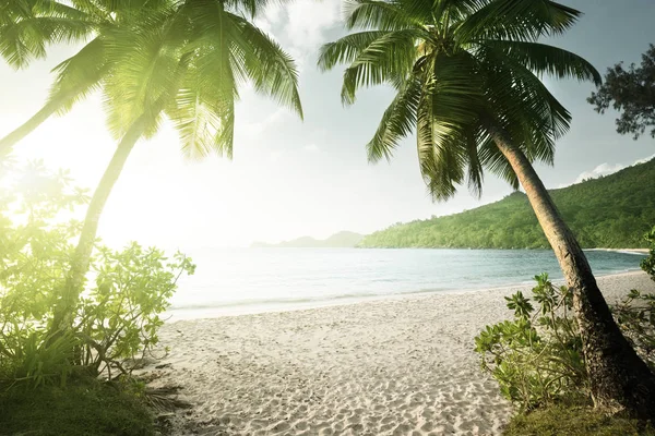 Solnedgang på stranden Takamaka, Maheøya, Seychellene – stockfoto