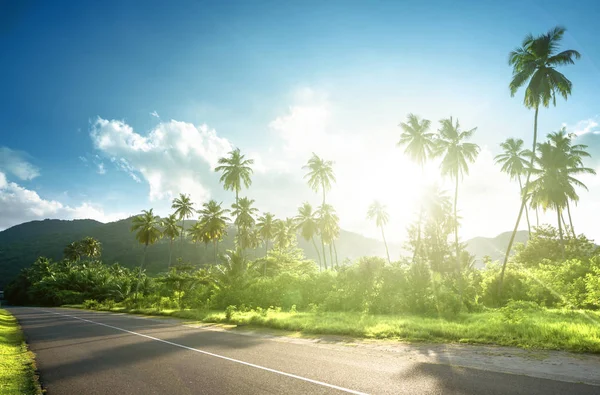 Estrada vazia na selva das ilhas Seychelles — Fotografia de Stock