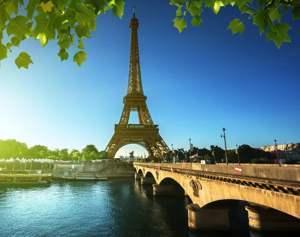 Torre Eiffel, Parigi. Francia Foto Stock