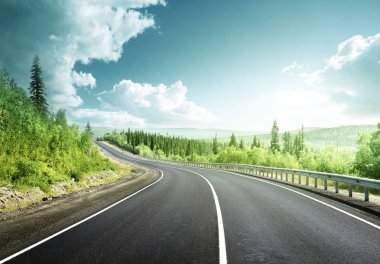 Kuzey ormandaki yol