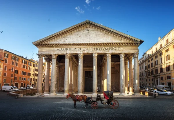 Пантеон, кінь на передньому плані, Рим, Італія — стокове фото