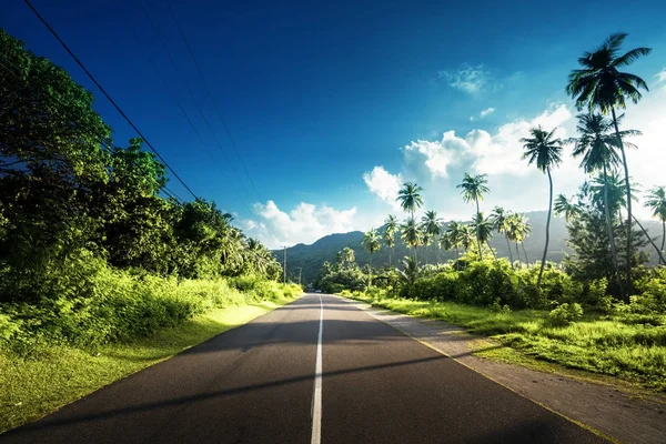 Empty road in jungle of Seychelles islands — Stock Photo, Image