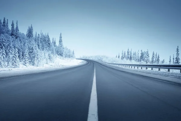 Straße im Winterwald — Stockfoto