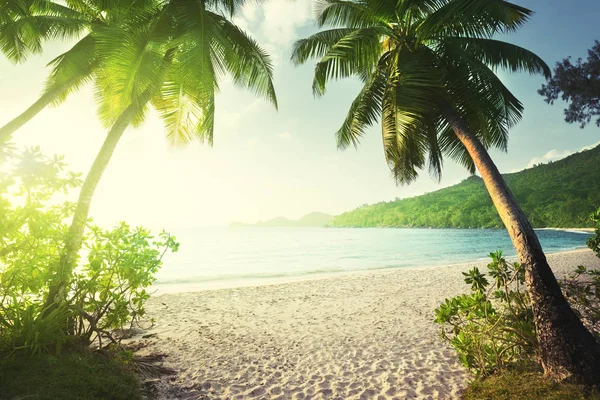 Puesta de sol en la playa Takamaka, Isla Mahe, Seychelles —  Fotos de Stock