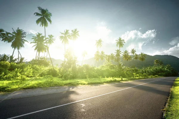 Empty road in jungle of Seychelles islands — Stock Photo, Image