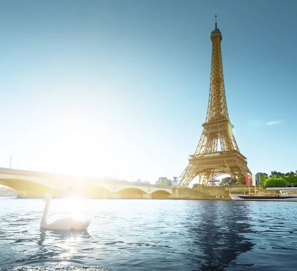 Cigno bianco e torre Eiffel, Parigi. Francia — Foto Stock