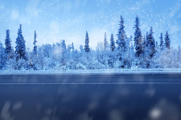 Silnice v zimním lese — Stock fotografie