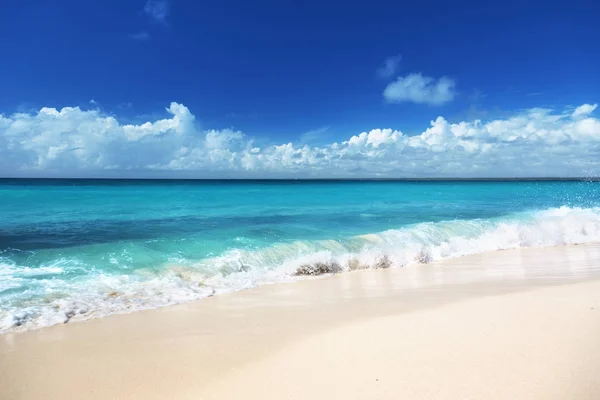 卡塔利娜岛 多米尼加共和国 — 图库照片