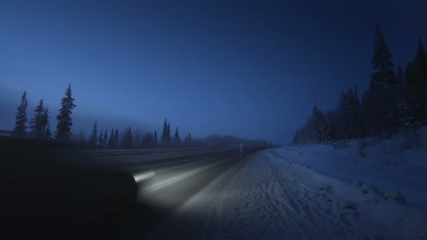 汽车的灯光在冬季森林 — 图库视频影像