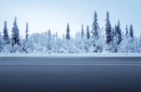 Väg i vinterskog — Stockfoto