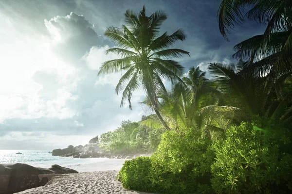 Pôr do sol na praia das Seychelles — Fotografia de Stock