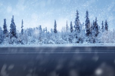 Kış ormanında yol