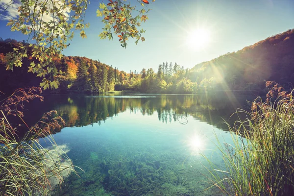 Jezero v lese v Chorvatsku — Stock fotografie