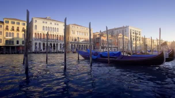 Gondolas Στη Βενετία Ιταλία — Αρχείο Βίντεο