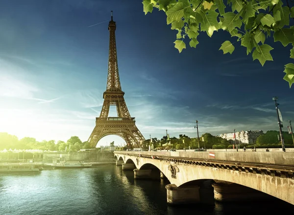 Tour Eiffel, Paris. France — Photo
