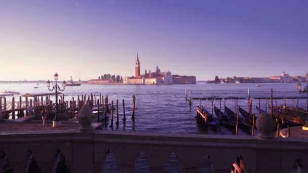 Plaza San Marco Venecia Italia — Vídeo de stock