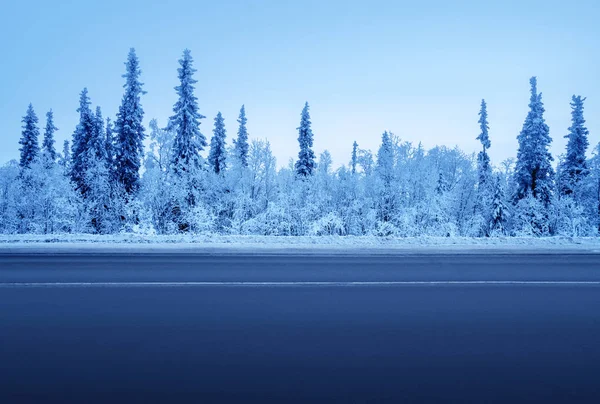 Carretera Bosque Invierno —  Fotos de Stock