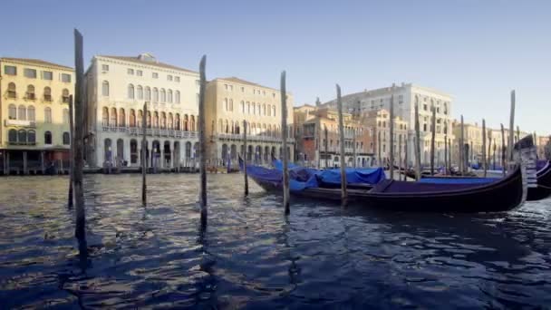 Гондолы Венеции Италия — стоковое видео