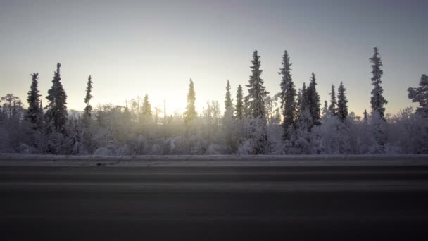 Luzes Carro Floresta Inverno — Vídeo de Stock