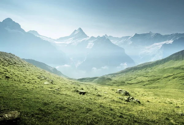 Grindelwaldin laakso ensimmäisen vuoren huipulta, Sveitsi — kuvapankkivalokuva