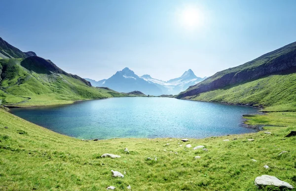 Schreckhorn ve Wetterhorn Bachalpsee Gölü, Bernese Oberland — Stok fotoğraf