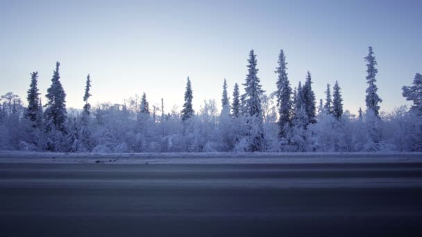 Luzes Carro Floresta Inverno — Vídeo de Stock