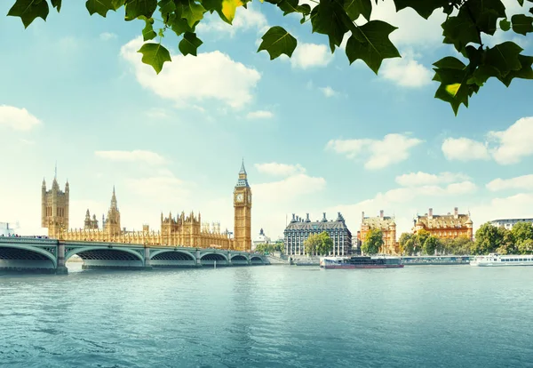 Velký ben a domy parlamentu, Londýn, uk — Stock fotografie