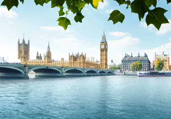 큰 벤 과 의회의 집 , london, uk — 스톡 사진