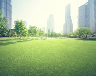 Lujiazui finans merkezine park et, Şangay, Çin
