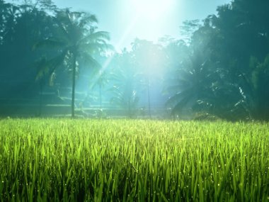 Tegalalang pirinç plantasyon Teras, Bali, Endonezya. 