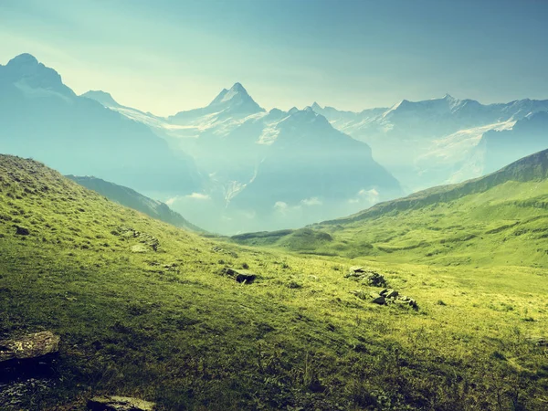 Grindelwaldské údolí z vrcholu První hory, Švýcarsko — Stock fotografie